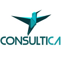 Consultica Software Services