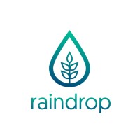 Raindrop Digital